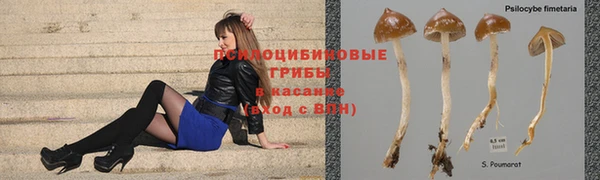 соль ск Бородино