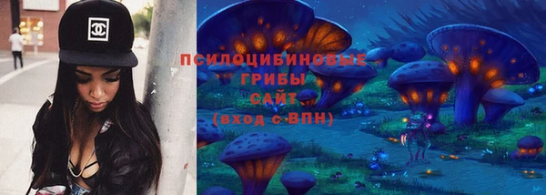 соль ск Бородино