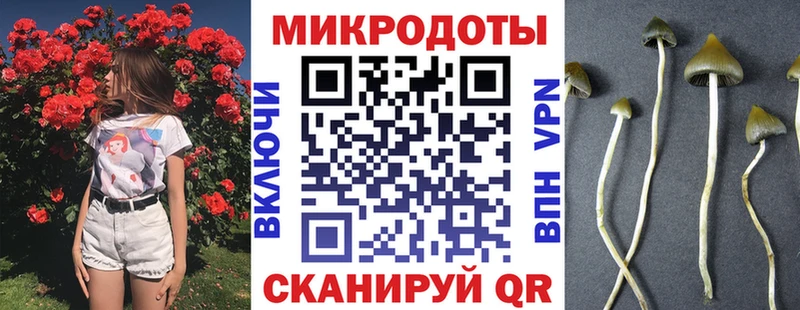 Галлюциногенные грибы MAGIC MUSHROOMS  Кондрово 